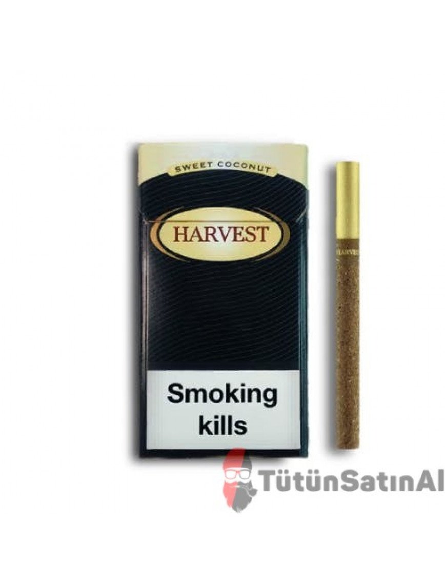 Harvest Sweet Coconut Little (Hindistan Cevizi) İthal Sigara Satın al