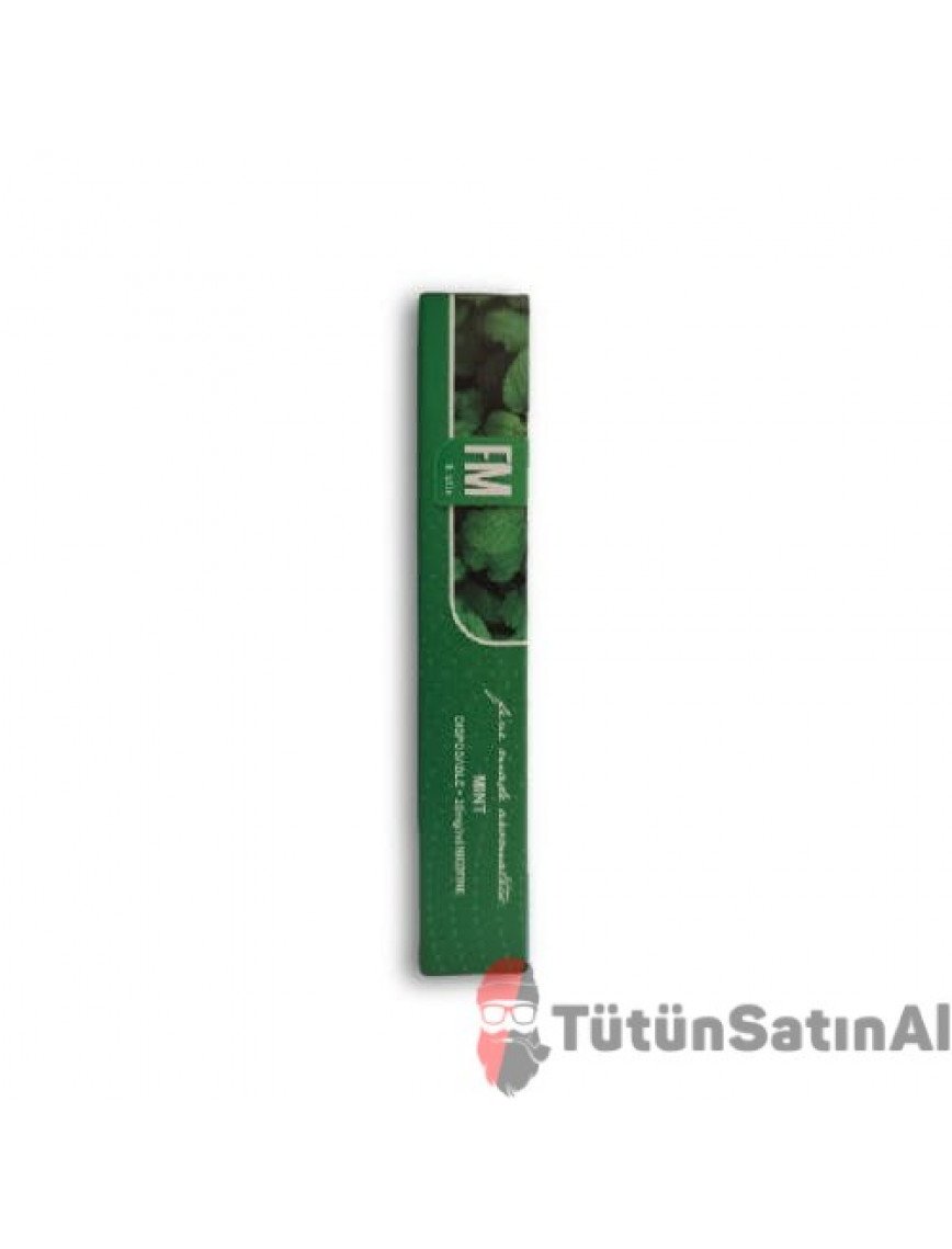 FM E-Stix Mint 800 Çekim (Nane)
