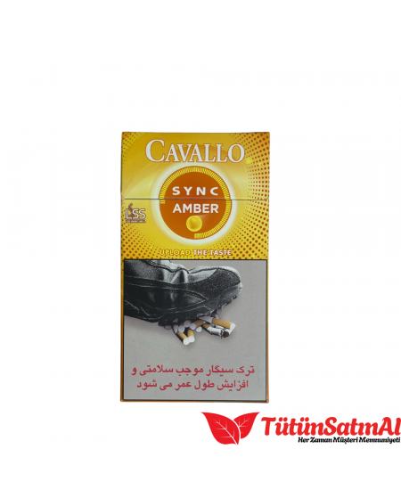 Cavallo Sync amber