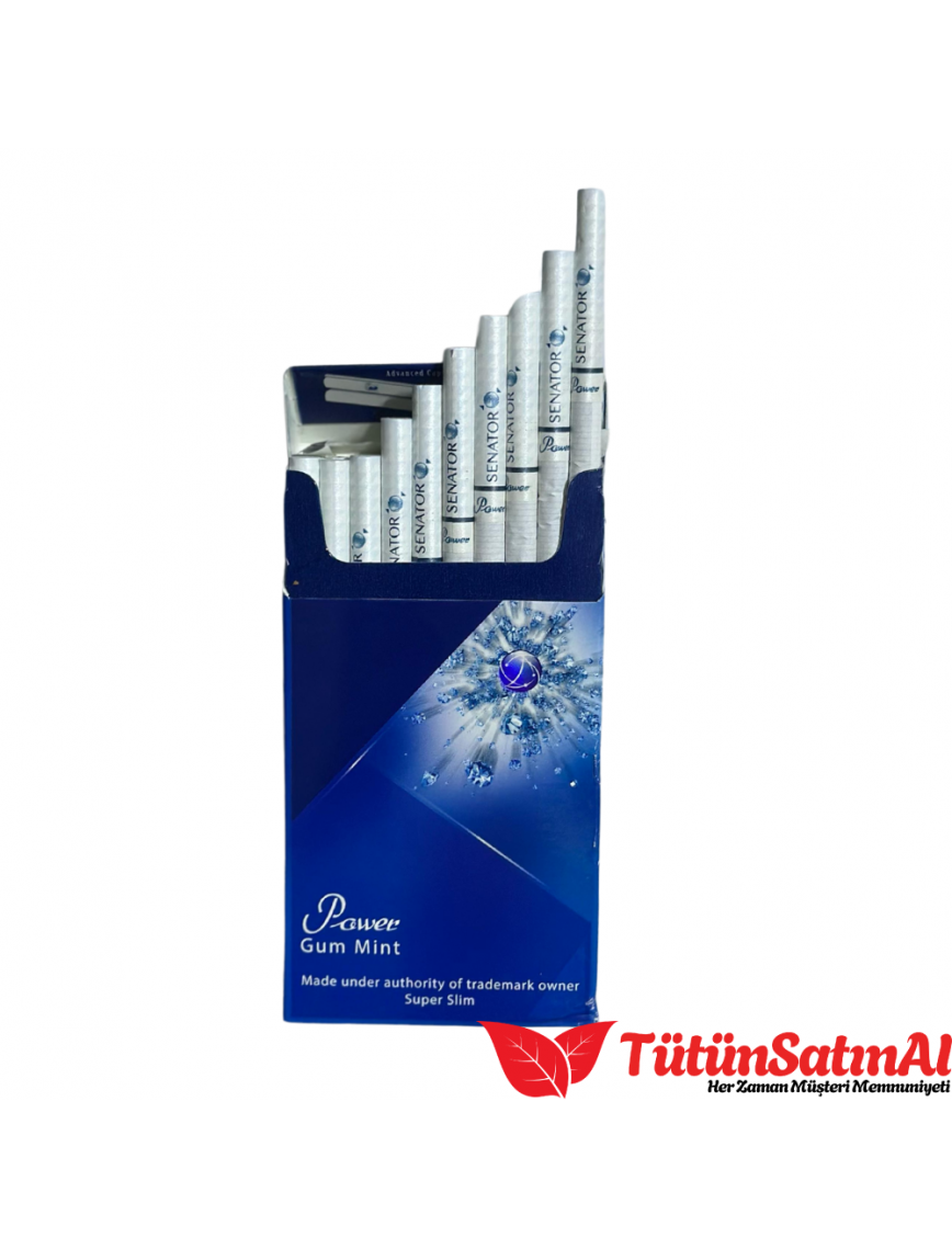 Senator Power Gum Mint Sigara