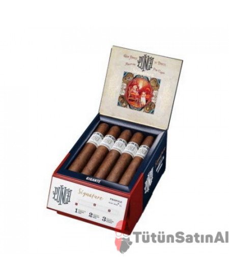 Punch Signature Gigante Puro Satın Al – 18’s Punch Signature Gigante Puro Satın Al – 18’s