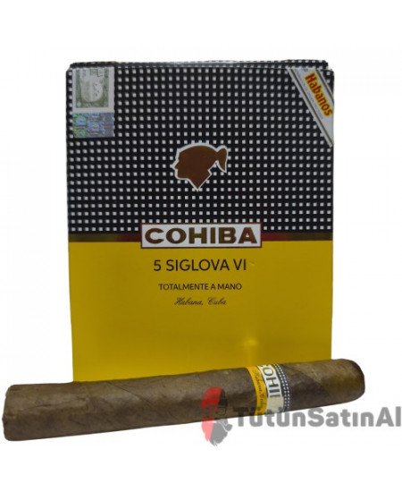 Cohiba Siglo VI Totalmente A Mano Gift Pack (REPLİKA)