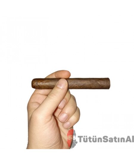 Mj Frias Cigars Robusto (5x50)