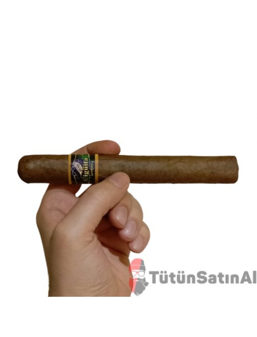 Cigüita Habana Corte Tekli