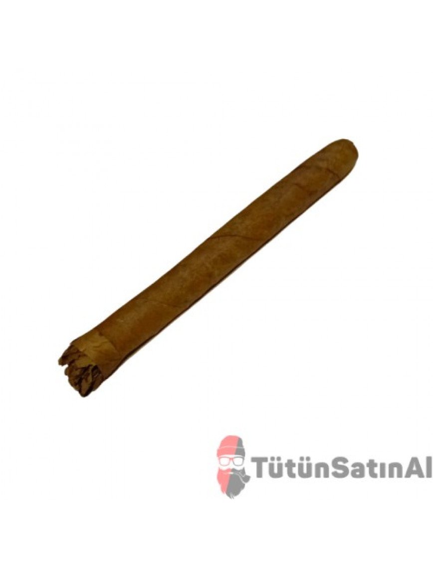 La Paz Wild Primeros 10 Cigaros Puro