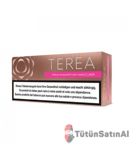 TEREA Teak IQOS Iluma