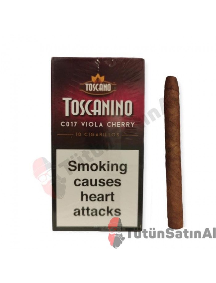Toscano Toscanino C017 Viola Cherry