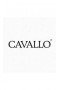 Cavallo