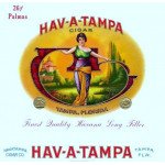 Hav-A-Tampa